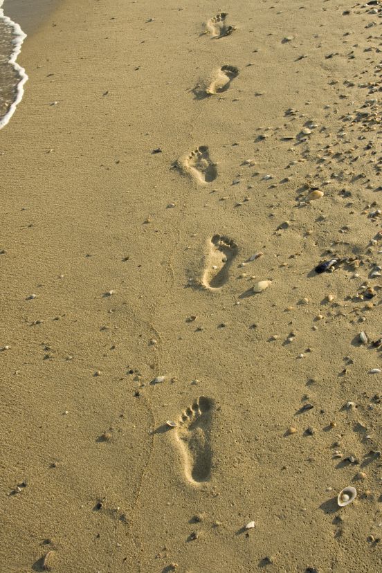 footprints